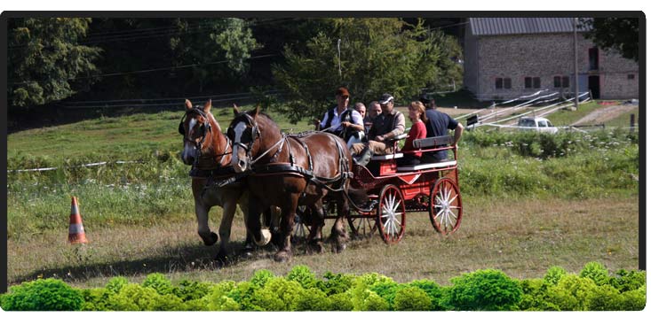 Cheval Centaure Haute Correze