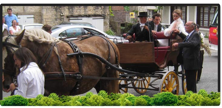 Cheval Centaure Haute Correze