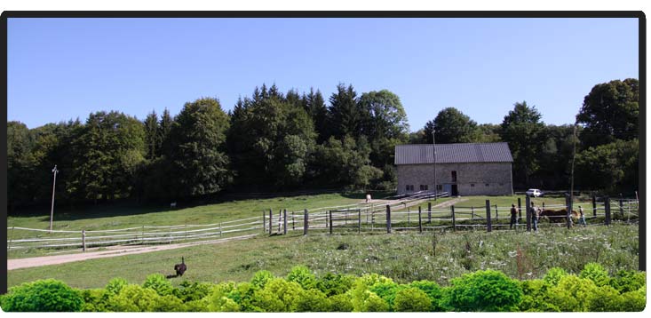 Cheval Centaure Haute Correze