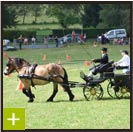 Formation &agrave; l'attelage - Cheval Centaure Haute Correze