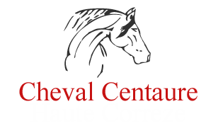Cheval Centaure Haute Correze