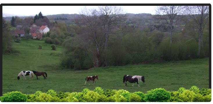 Cheval Centaure Haute Correze